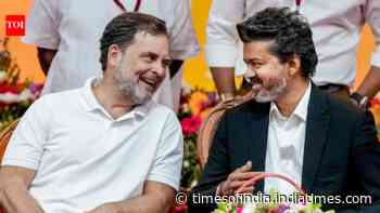 TVK-led alliance allots Tamil Nadu Rajya Sabha seat to Congress