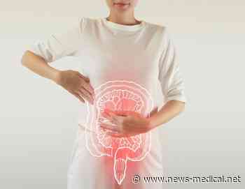 Genetically-modified hookworms successfully deliver medicine to animal hosts