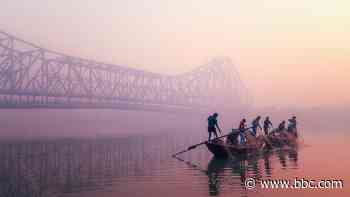 Winners: World Food Photography Awards 2026