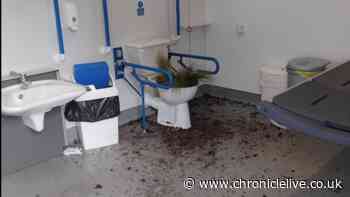 'Disappointment' as North East toilet to help severely disabled trashed by vandals