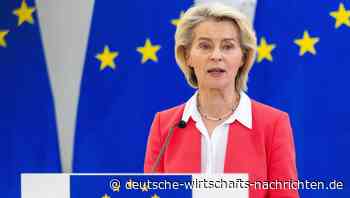 Investitionen in die Energiewende: EU-Kommission will mehr Schulden erlauben