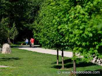 Maumee disc golf proposal sparks debate over wooded riverfront site