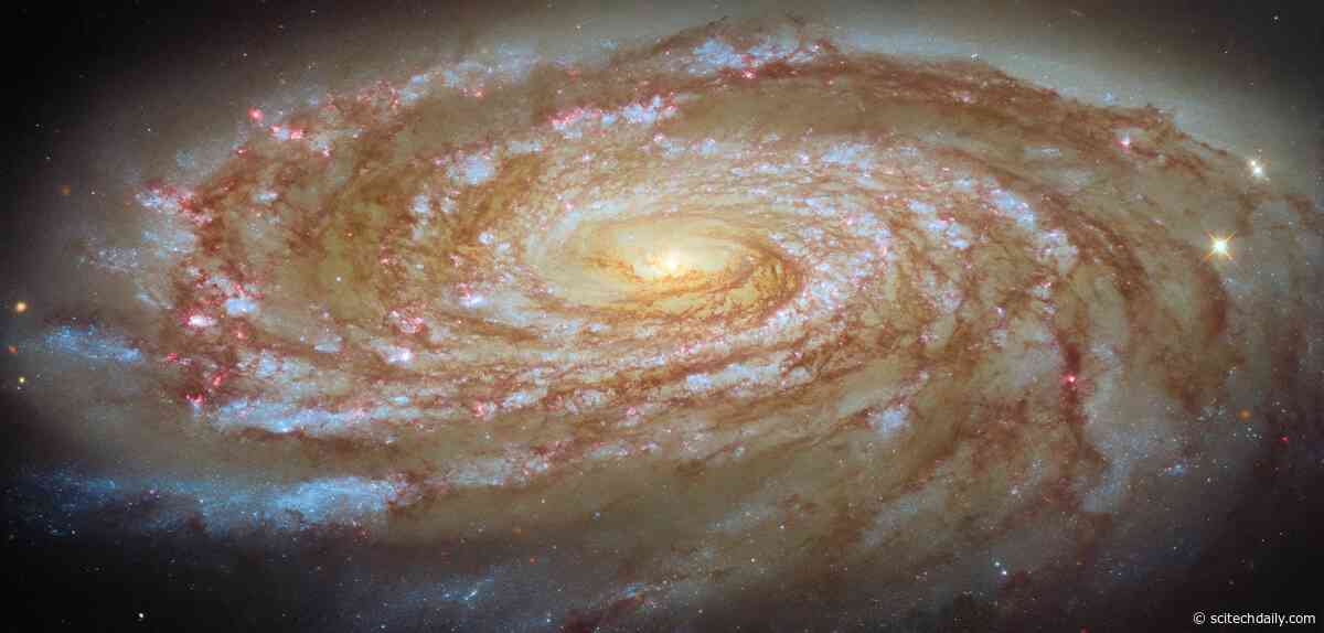 Hubble Captures a Stunning Spiral Galaxy Slowly Being Stripped of Its Future