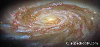 Hubble Captures a Stunning Spiral Galaxy Slowly Being Stripped of Its Future