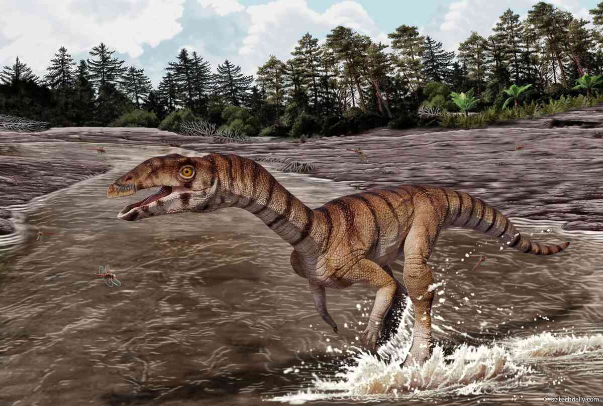 Scientists Discover a Bizarre Crocodile Cousin That Walked Like a Dinosaur