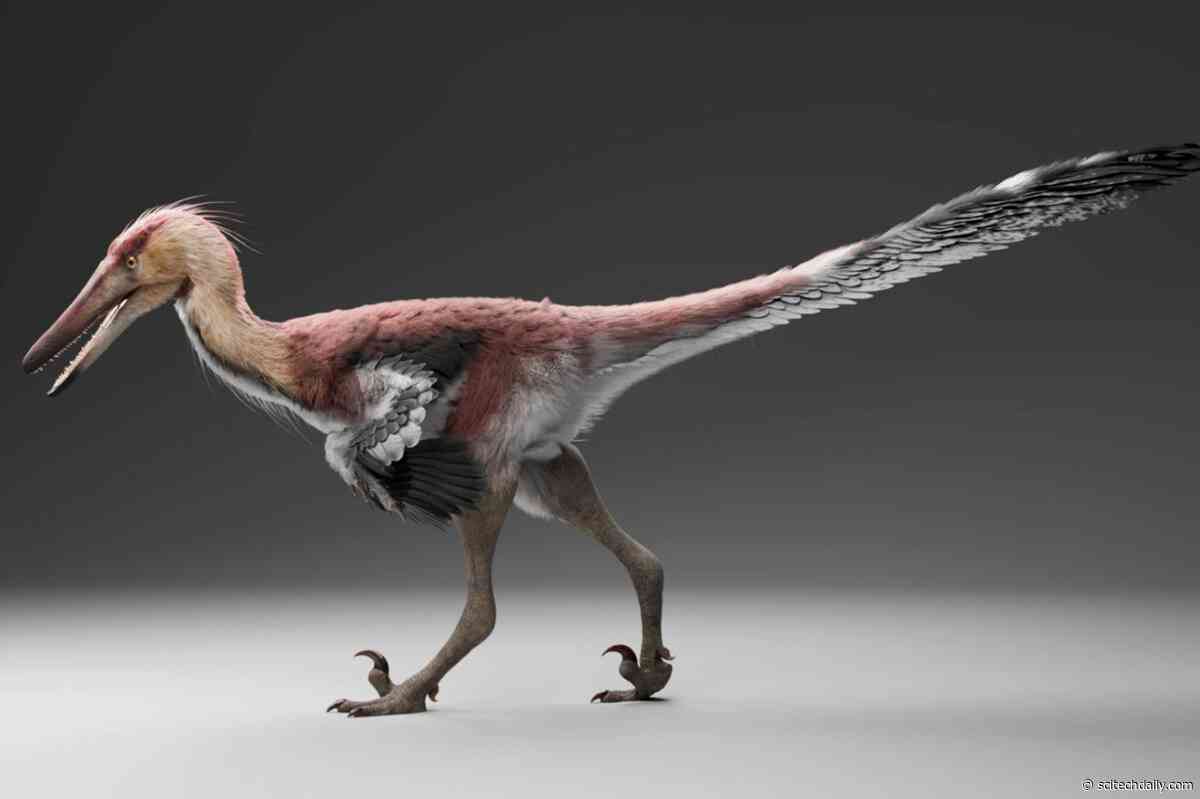 This Dinosaur Had the Claws of a Raptor but Hunted Like a Heron
