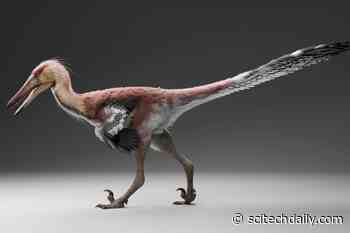 This Dinosaur Had the Claws of a Raptor but Hunted Like a Heron