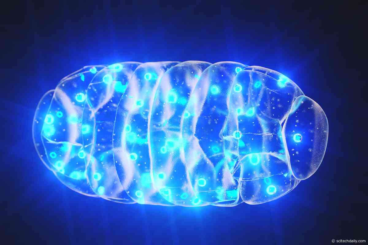 Scientists Discover a Hidden Cause of Cellular Aging That Can Be Reversed