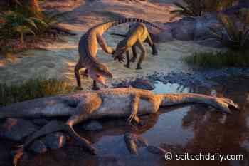 New Crocodile Cousin Discovered After 210 Million Years Hidden in Stone