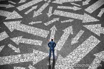 Stress Can Literally Make You Lose Your Direction, According to New MRI Evidence