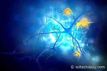 Scientists Uncover a Hidden Alzheimer’s Target and Create the First Tool To Control It