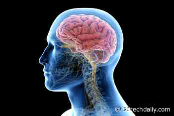 Scientists Discover Surprising Similarities Between Freud’s Ideas and Modern Neuroscience