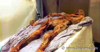 Scientists find yeast in frozen mummy's guts, use it to make bread