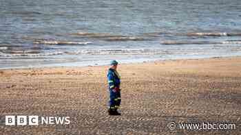 Woman dies trying to rescue dog from sea