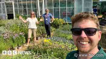 First plants arrive for new Eden Project