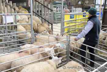 Livestock farmers welcome abattoir charges ruling