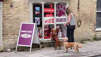 'Pet parents' ditching trips abroad for UK holidays with pets 'at the heart'