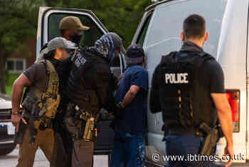 Donald Trump Immigration: Critic Predicts Brutal Raid Blitz After Midterms