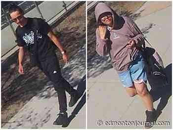 Suspects sought in noon-hour convenience store stabbing: Edmonton police