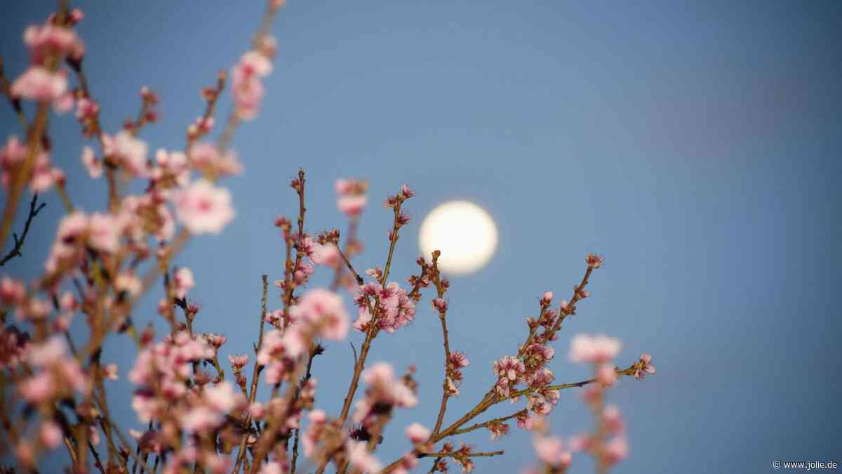 Wochenhoroskop: So aufregend erlebt dein Sternzeichen die Zeit vom 1. bis 7. Juni