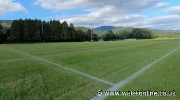 Welsh rugby player punches committee member unconscious and Cardiff star wins award