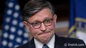 Johnson: Democrats 'playing politics' with FISA over Pulte appointment 