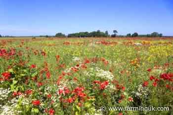 NFU warns SFI26 uncertainty remains