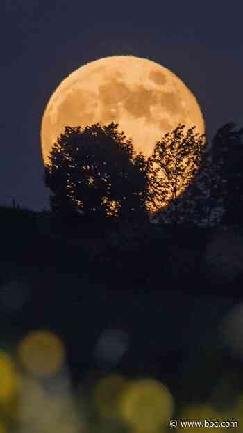Rare 'Blue Moon' set to light up UK skies