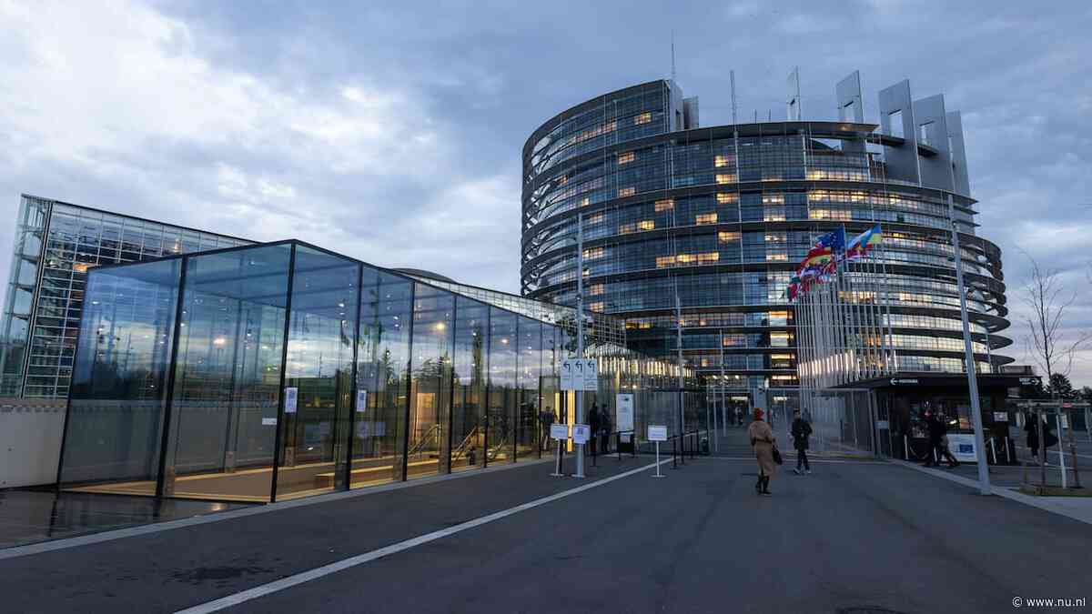 Europees parlementslid moest medische hulp zoeken omdat hotel te smerig was