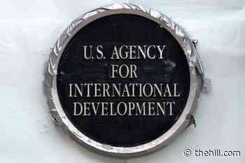USAID shutdown linked to sharp increase in violence across Africa: Research