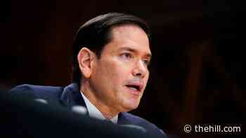 Rubio says US to 'reengage' with global vaccine program