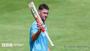 Bears still believe after poor T20 start - Webster
