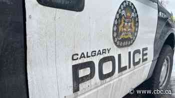 2 pedestrians seriously injured in northeast Calgary crash