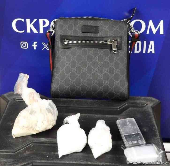 Police seize $30K in suspected drugs