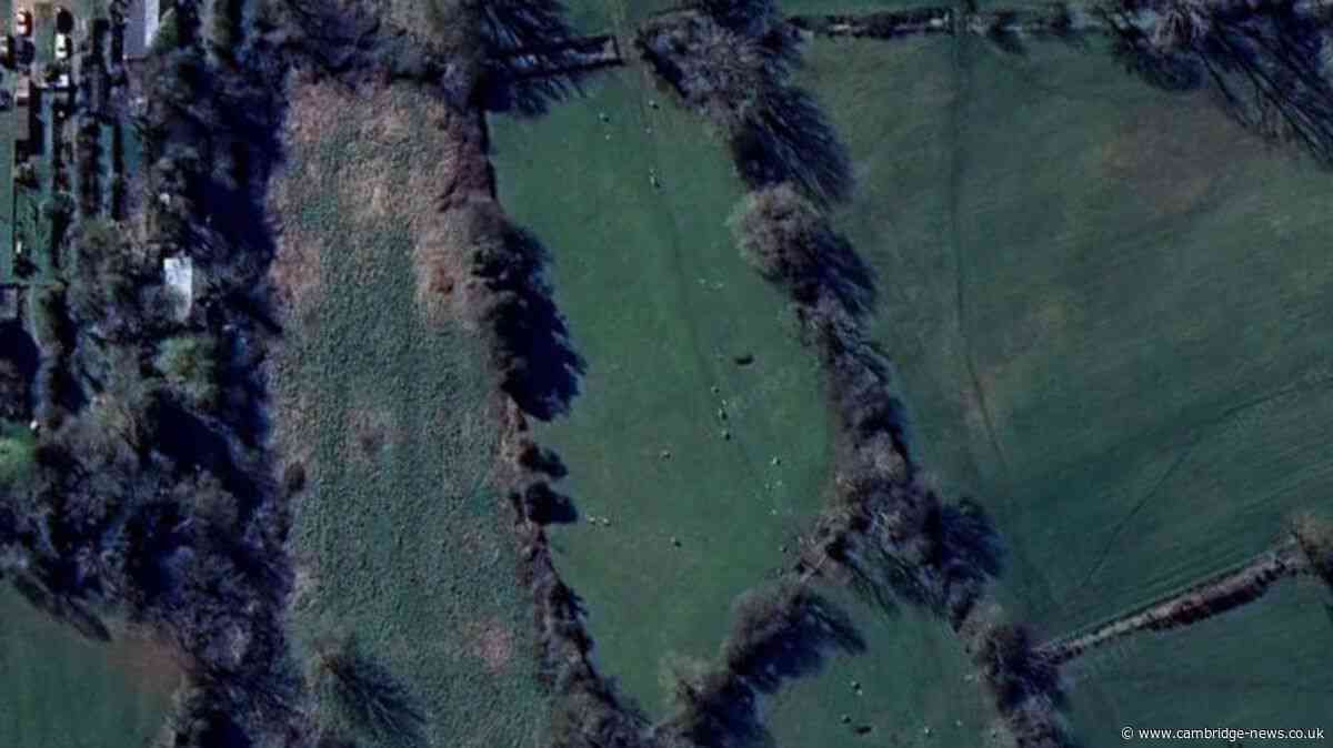 Locals fears new housing development would cause ‘irreversible loss’