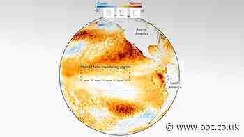 ‘Super’ El Niño: What to expect here
