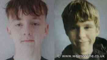 'Growing concern' for boys not seen for days
