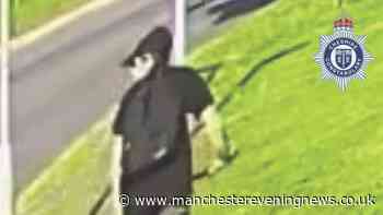 Woman 'shaken' after man exposes himself to her