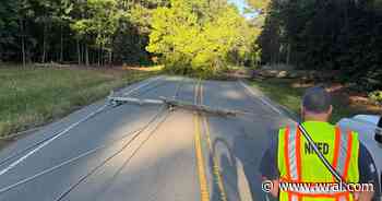 Morris Grove Elementary School dismissed early due to a power outage caused by a fallen tree