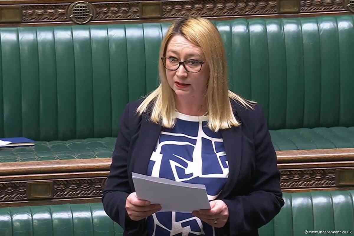 Labour MP suing Elon Musk’s xAI over Grok deepfakes