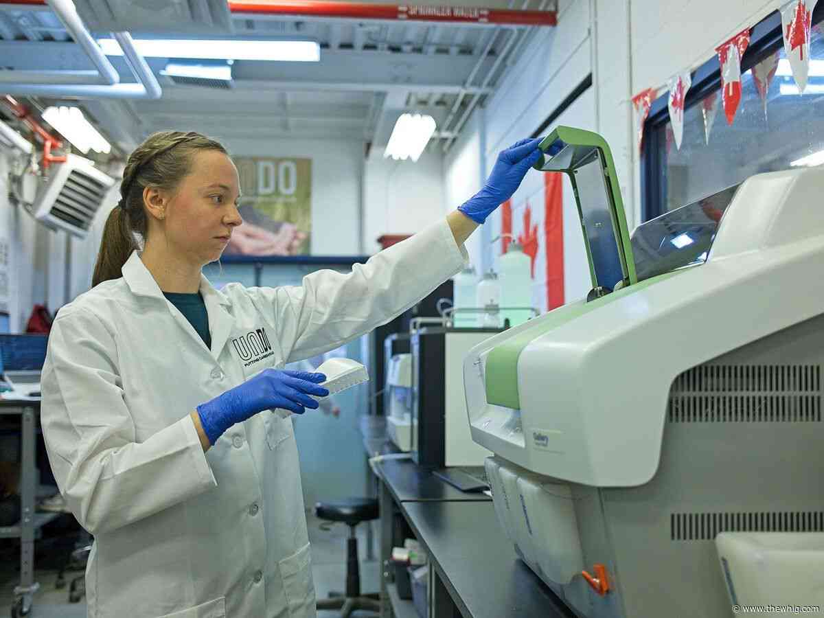 Beneath the surface, Kingston researchers tackle biggest challenge facing carbon-removal