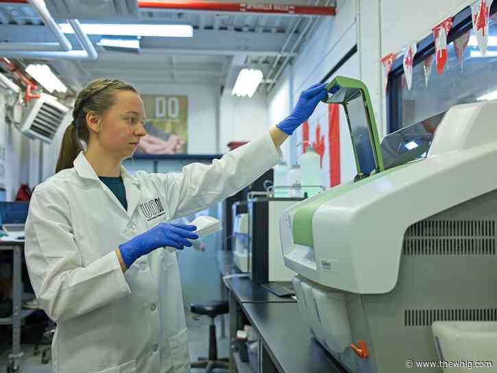 Beneath the surface, Kingston researchers tackle biggest challenge facing carbon-removal