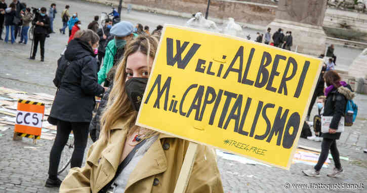 Roma taglia 30mila alberi, il Campidoglio: “Ne abbiamo piantati il doppio”. Gli esperti: “Non basta mettere piante giovani”