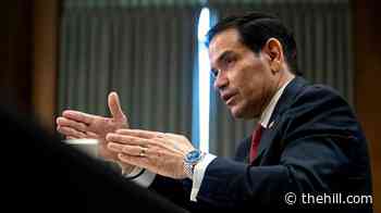 Rubio: I have never seen Trump fall asleep