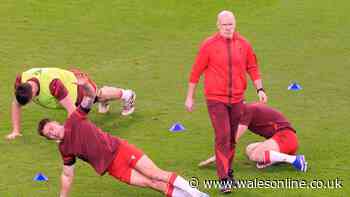 Steve Tandy's crucial Wales changes behind the scenes in first nine months