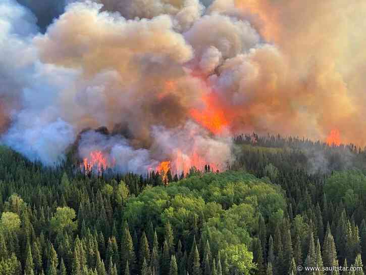 Dry conditions spark forest fires across Northern Ontario