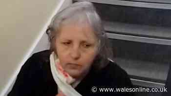 Retired vet 'could not cope' and allegedly 'strangled mother' on Christmas Day
