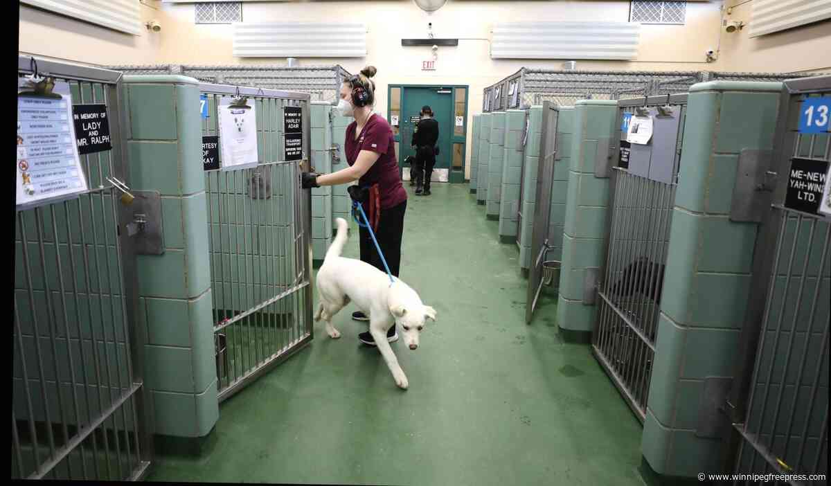 Status change would ease burden on animal services: Santos