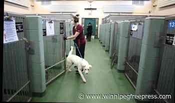 Status change would ease burden on animal services: Santos