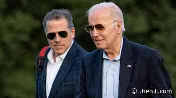 Hunter Biden: Cocaine found at White House ‘most definitely’ not his
